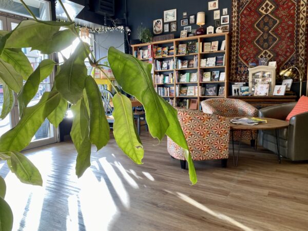 Eastern Oregon light, comfy chairs and shelves of books -- how could any booklover resists this scene at JaxDog Cafe and Books in La Grande? Photo by: Laura Hancock, JaxDog Cafe and Books